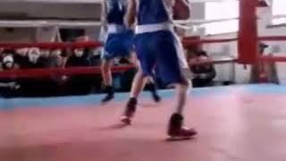 Emin mamedov boxing 