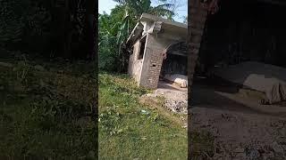 Md Farhad 786 #shorts #youtubeshorts #ameen