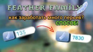 🪶Как заработать много перьев у Feather family? (Способ!) //Roblox feather family//