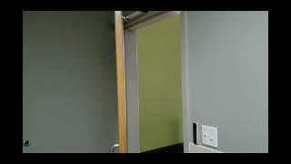 Olide Automatic Swing Door with Wireless Push Switch Operation Video
