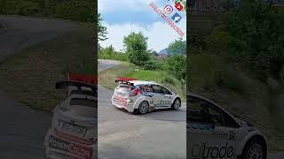 Borut Bratina Ford Fiesta R5 - Top Drift