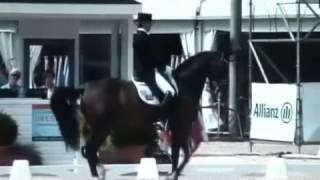 Edward Gal & Sister de Jeu Grand Prix Special Dressage Championship 2011