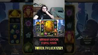 Royal Potato , картошка на отдаче у LuckyZO21