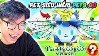 BI HUỲNH DÙNG TẤT CẢ MAY MẮN TRONG 12H BẤT NGỜ TRÚNG MÈO BÍ ẨN 555 TRIỆU CỰC ĐẸP | PETS GO!