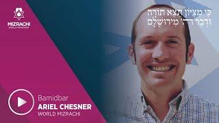 Ariel Chesner | Bamidbar 5785