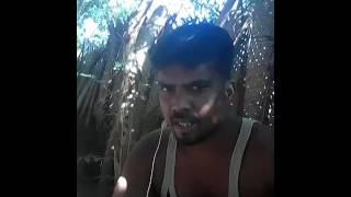 Ravisari