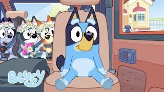 El cartel  | Serie 3 | Bluey Español Canal Oficial