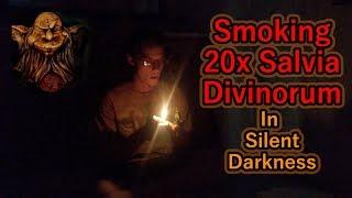 Smoking 20x Salvia In Silent Darkness (Live Action Trip Report)