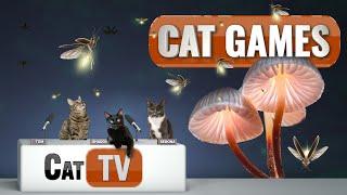 CAT TV | Fireflies in Mystical Lands | Cat TV Bug Videos For Cats to Watch | Relax my Cat 