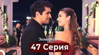 Зимородок 47 Cерия (Русский дубляж)