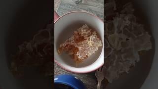 мед в сотах  и финики на завтрак