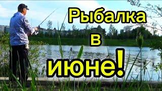 Рыбалка на донку фидер на набережной. fideer fishing