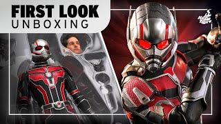 Hot Toys Ant-Man and the Wasp Quantumania Figure Unboxing | First Look