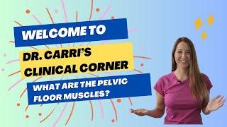 What Are The Pelvic Floor Muscles?