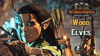 How Wood Elves Have the Most Boring Campaign Experience - Total War: Warhammer 3 Immortal Empires