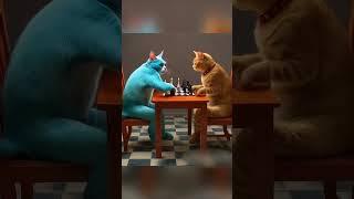 Crazy Cats Playing Chess