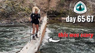the last big pass + YOSEMITE ≫ PCT day 65-67