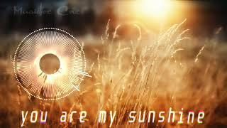 [Music box Cover] You Are My Sunshine