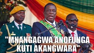 "Mnangagwa Anofunga Kuti Akangwara": Former Army General Speaks On Mnangagwa From Exile