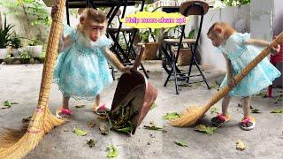 So hardworking... monkey Lyly helped her mother clean up the trash after a strong wind