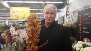 Mayesh Luxe Blooms: Flowers From Holland