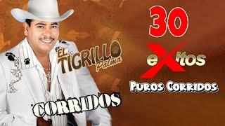 El Tigrillo Palma De Oro - 30 Exitos Puros Corridos Mix Para Pistear 2024