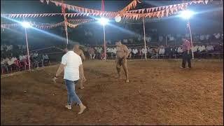 nagaraj basidoni vs rubal sing hariyan