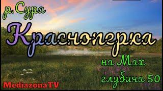 Русская Рыбалка 4 Где Клюет р.Сура Красноперка 02.01.23