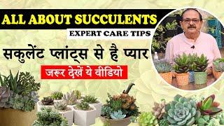 How to Grow & Care Succulent Plants I Succulents ki care kaise karein #succulents #succulentcare