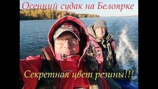 Осенний судак на Белоярке. Секретный цвет резины!