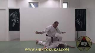 Okinawa Shorin-ryu Karate: Parent Style of Shotokan (clip 5)