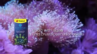 Tropical Marine Power CORAL FOOD LPS MINI GRANULES