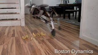 Boston Dynamics' New Robot Dog Is Defeated By Banana Peels