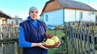 How a Woman Lives in a remote village in Ukraine! Cooking a traditional Lunch