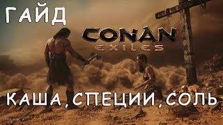 CONAN EXILES | КАША, СПЕЦИИ, СОЛЬ | ГАЙД