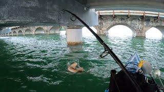 Florida Keys Under Bridge Fish Whacking