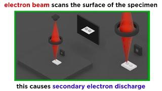 Electron Microscopy (TEM and SEM)