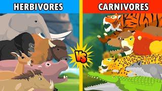 Carnivores Animal vs Herbivores Animal [S1] | Animal Animation