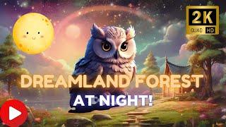 EP 4: Discover Dreamland Forest's Magic! #DreamlandForest #LunaTheOwl #NighttimeAdventure