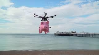 Marathonbet's Pigs Can Fly