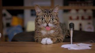 Lil BUB's Big SHOW Episode 1:  WHOOPI GOLDBERG