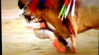 Бык пробивает матадора - Испания Bull punches matador Spain