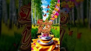 Доброе утро #музыкальныеоткрытки #доброеутро#новыйдень