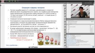 Качество результатов исследования гастрина и их диагностическое значение