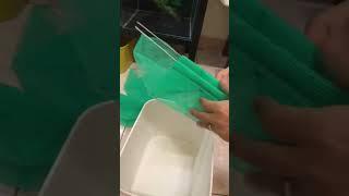 Lồng tách đẻ cho cá bảy màu hiệu quả | 82 Guppy