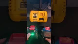 Dead Dewalt Lithium battery? Don't throw it out before try this!