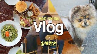 해방촌 맛집 | 비건 레스토랑 요리, 베제투스, 카페 드도트 브이로그[vlog]