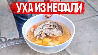 Как варили уху старые одесские рыбаки. Уха из кефали