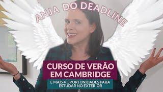 Bolsa de intercâmbio no Ensino Médio + melhores bolsas de estudo no exterior #anjadodeadline