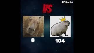 King capybara is the goat